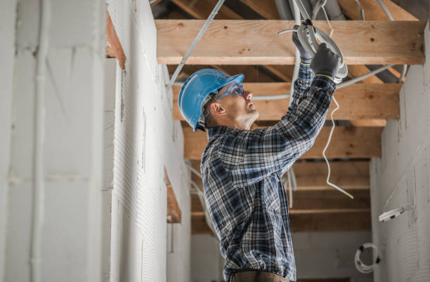 Best Electric Panel Repair  in Woodbranch, TX